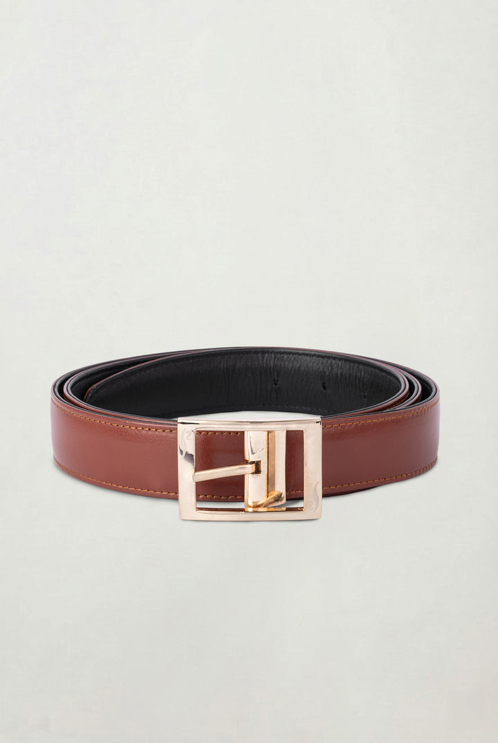 The Vinea Belt